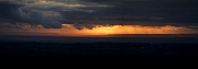 David Plant Photography - Wildlife Photographer - Somerset levels